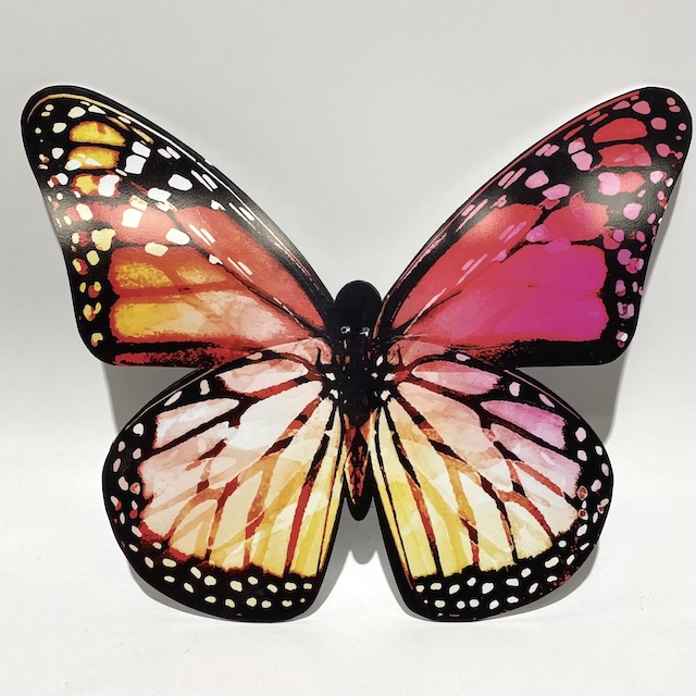 BUTTERFLY, (Small) Pink Orange 50cm H x 65cm W